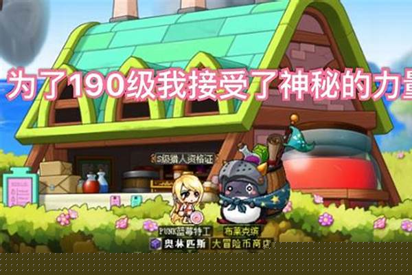冒险岛 暴风成长秘药